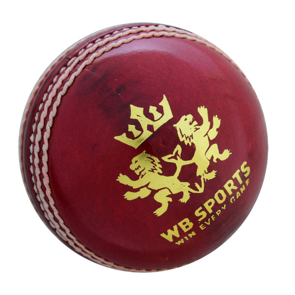 WB Cricket Hard Ball