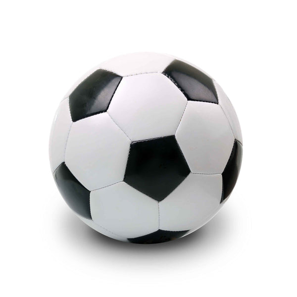 WBS0011 - Black and White Soccer Ball